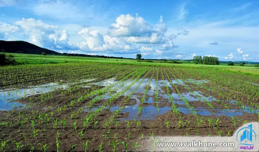 زمین۱۲۰۰متری شاهپسند