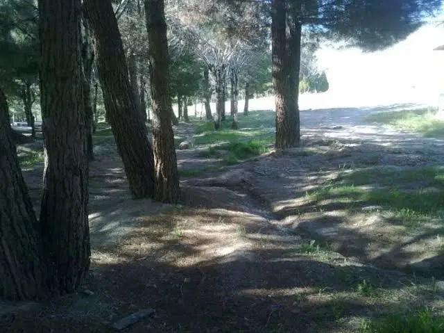 زمین مسکونی سنجان