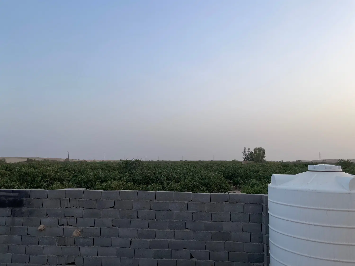 خانه باغ فروشی