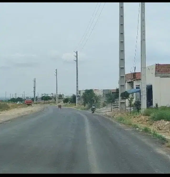 زمین مسکونی خلیج ۹میانکاله