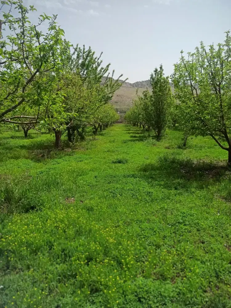 اجاره زمین تجاری