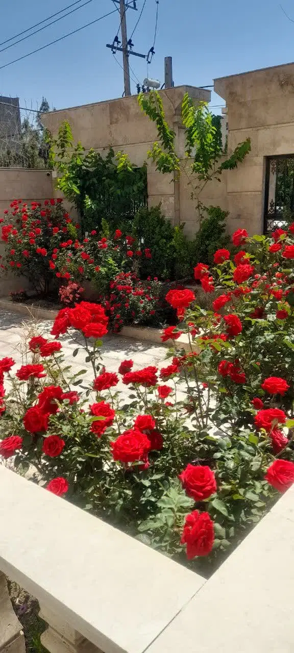 رهن  ۱۳۵ متری ۳ خواب حاشیه الهیه
