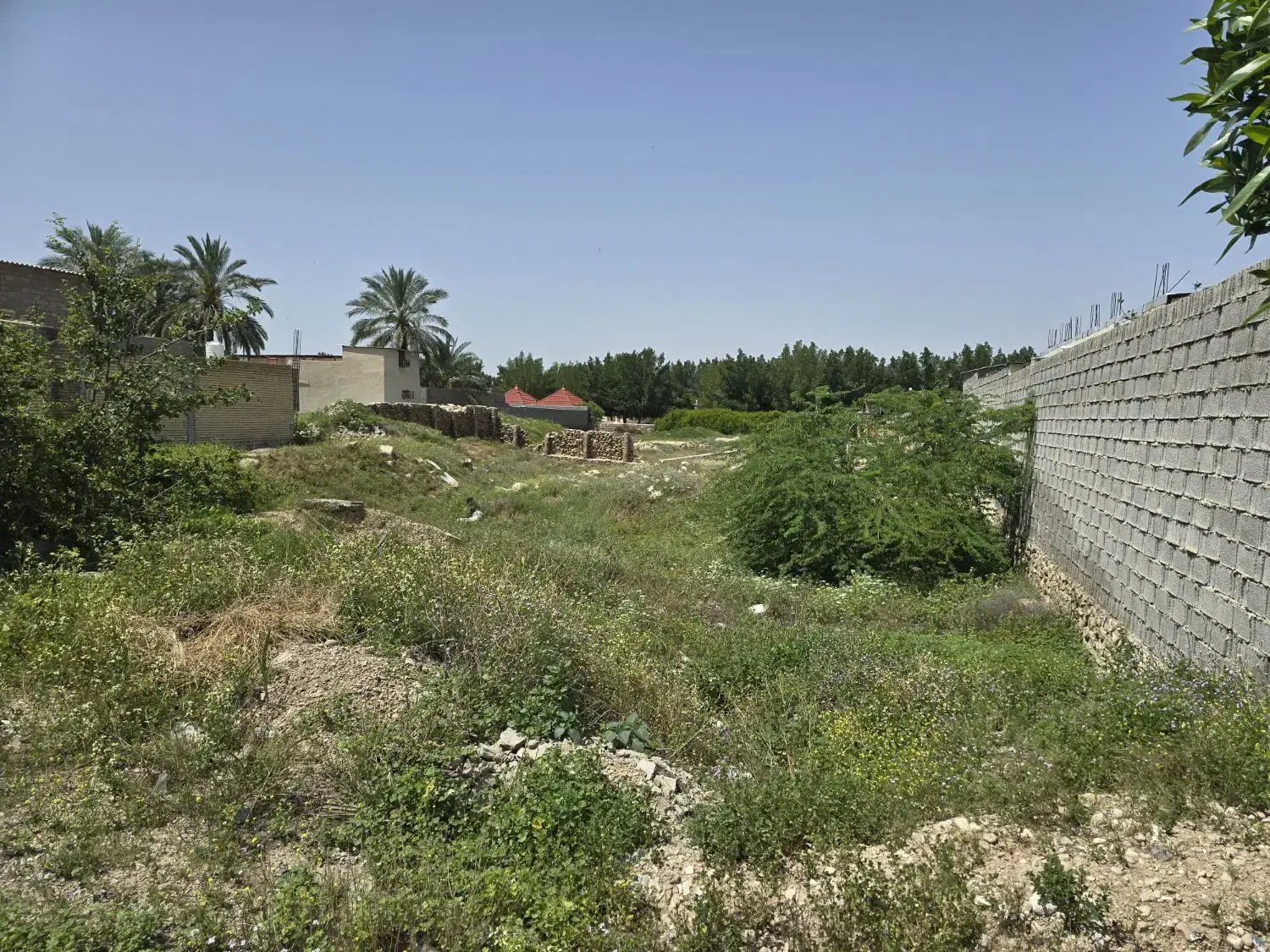 زمین مسکونی و تجاری