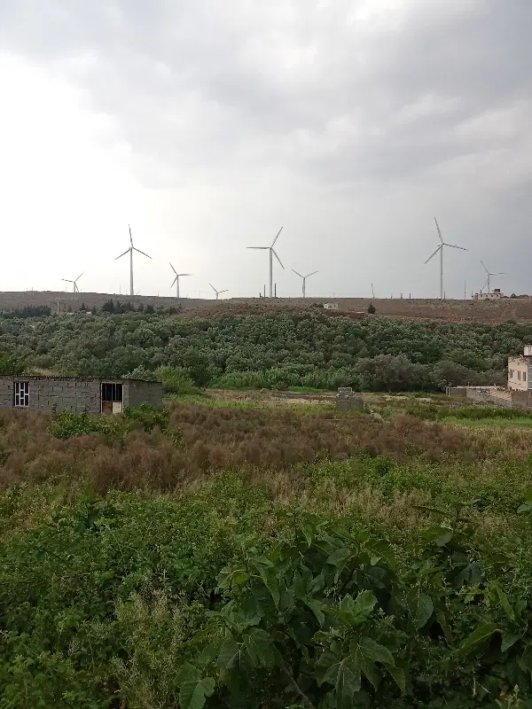 زمینی ب متراژ ۱۷۱ متر مربع مسکونی در شهر منجیل
