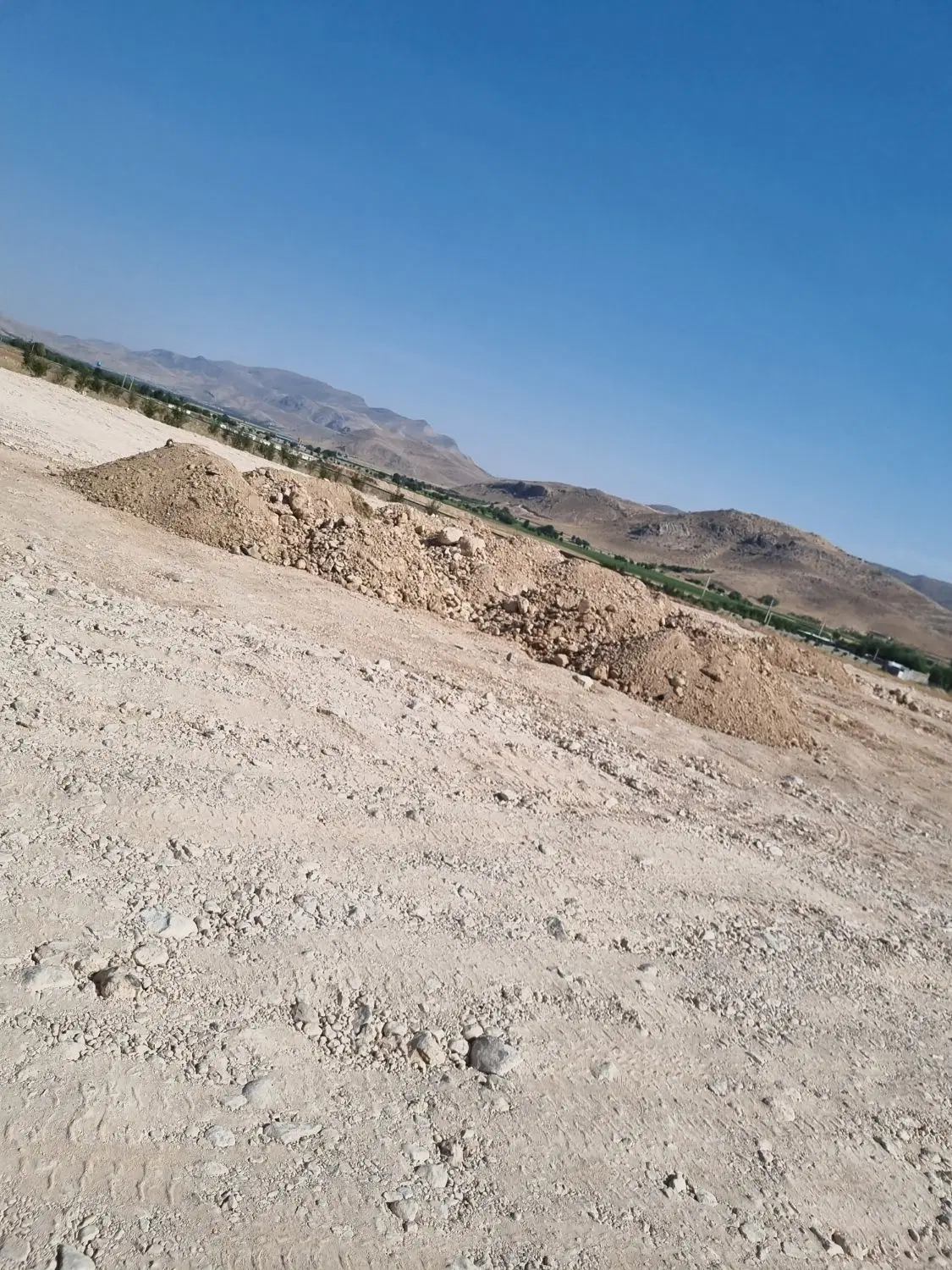 زمین باغی