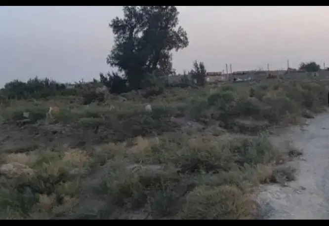 زمین چهار هزار متر زابل.روستای طاغذی (زندان زابل)