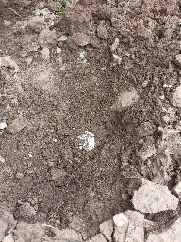 زمین ماسه شوی دره گرم