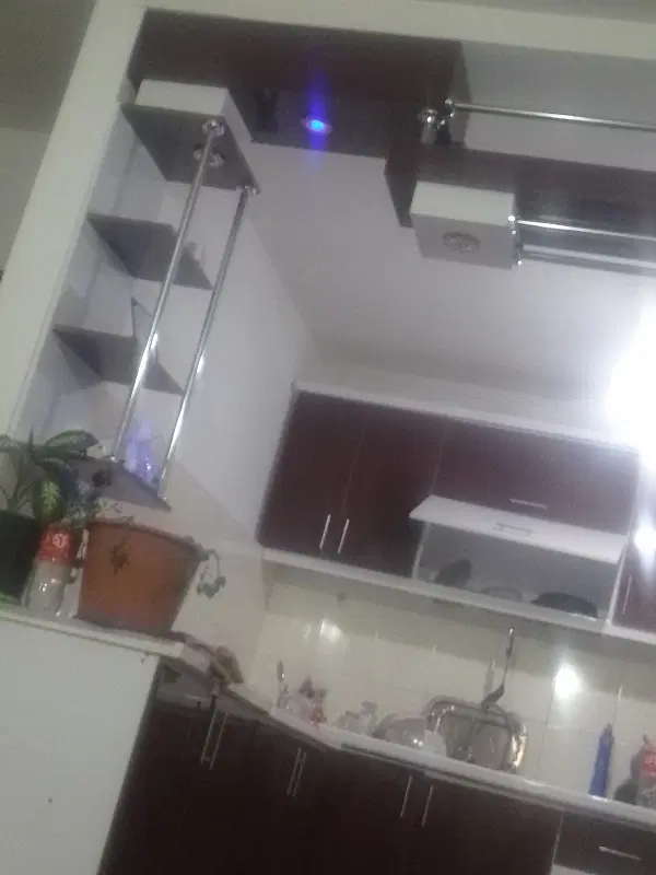 همخونه