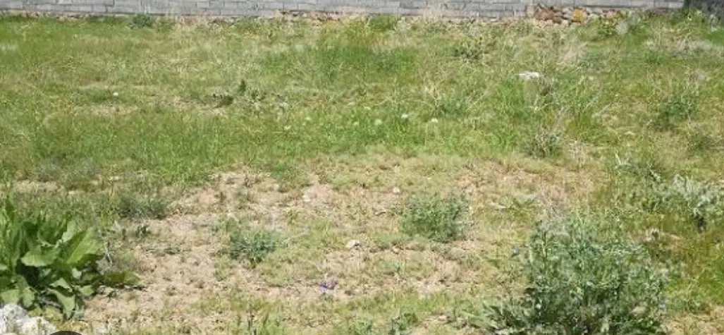 زمین 200 متری مدارک کامل . محله ی امید