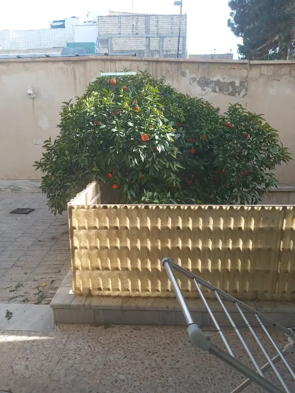 فروش ۴۰۰ متری کلنگی