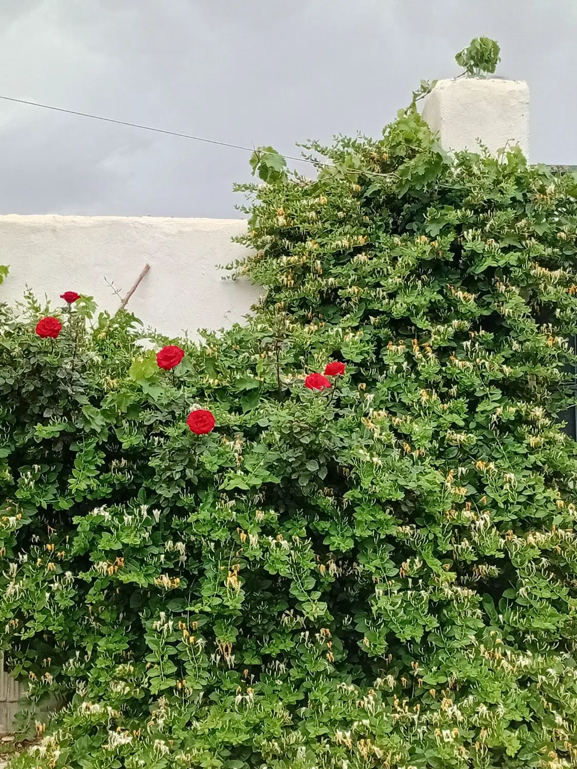 فروش زمین ۳فرزندی و ۱۲۰۰متر باغ تفریحی