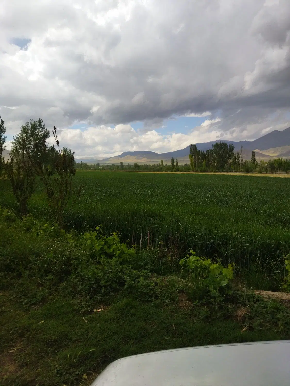 زمین