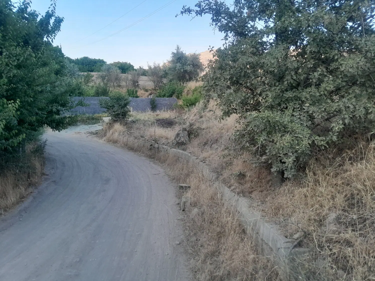 باغ باباریز