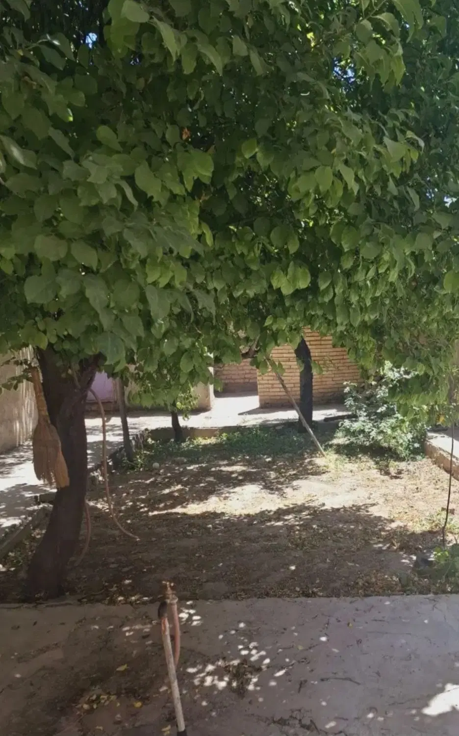 کوی کارگر