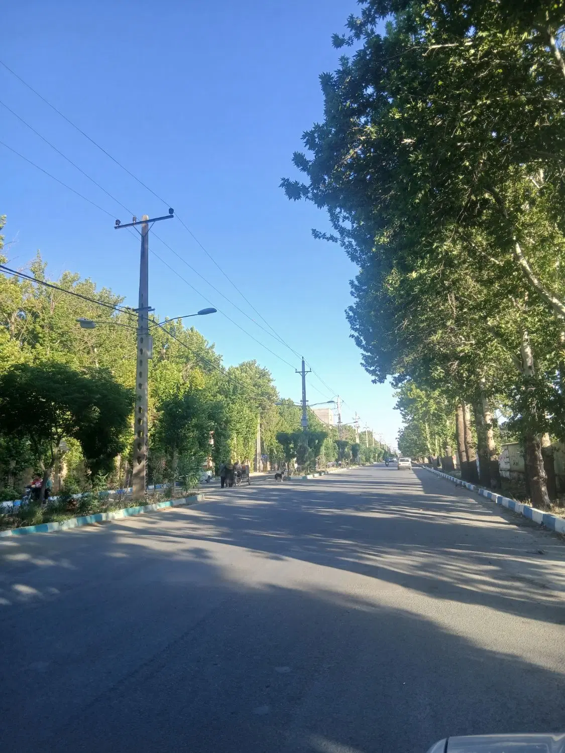۲۵۰ متر مسکونی سند ششدانگ تک برگ شهریار