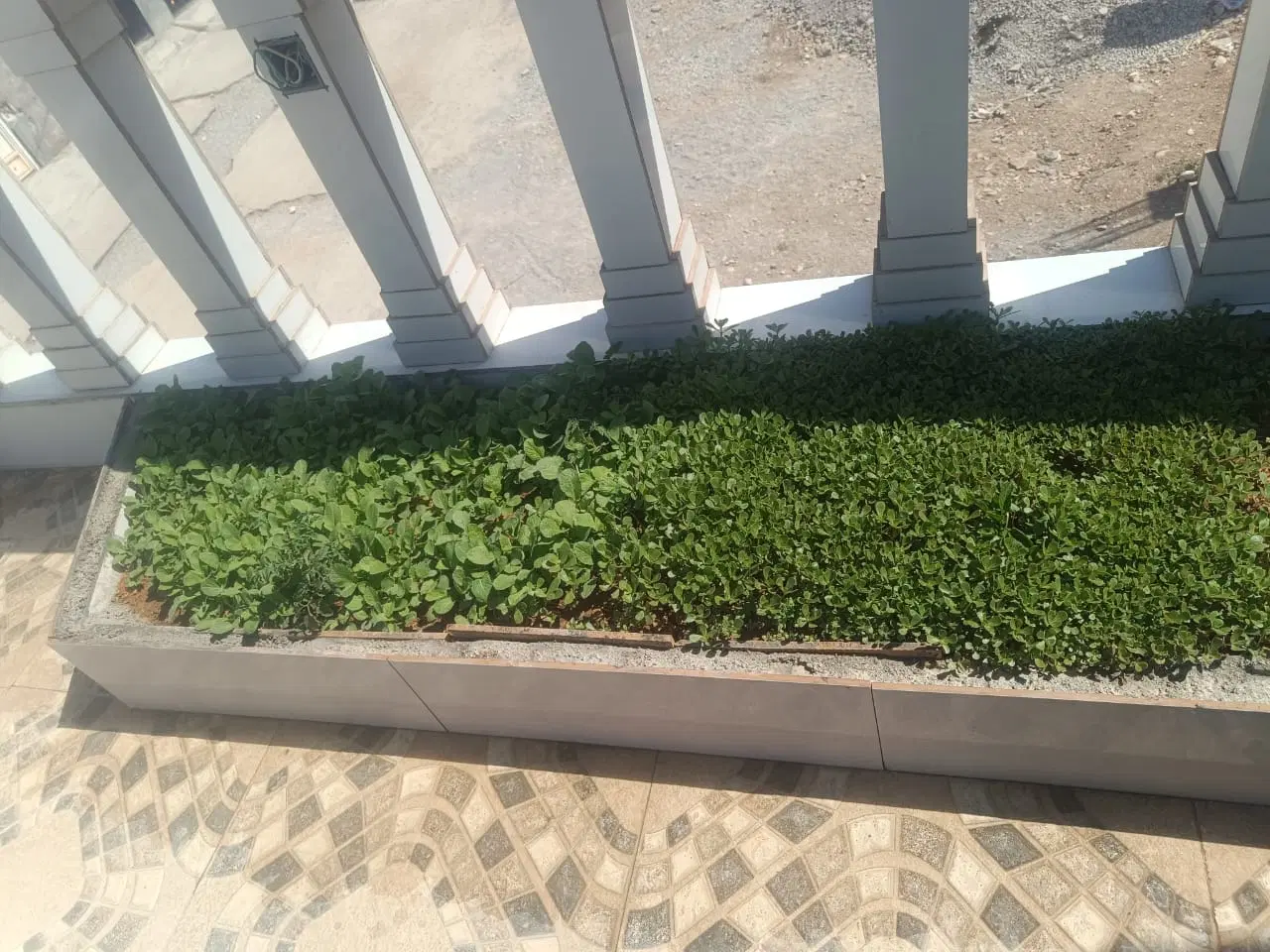زمین اموزش وپرورش دنا قطعه ۸۱