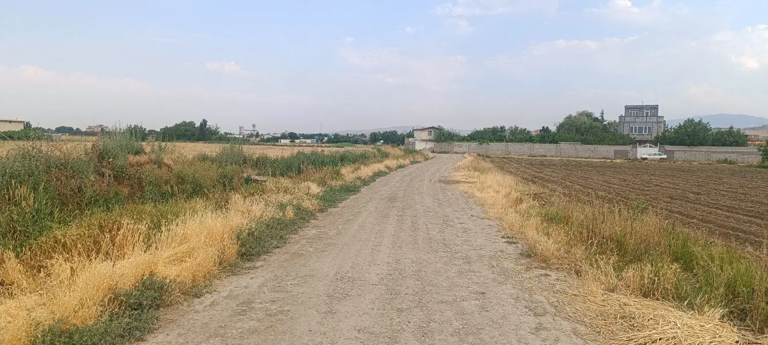 زمین زراعی