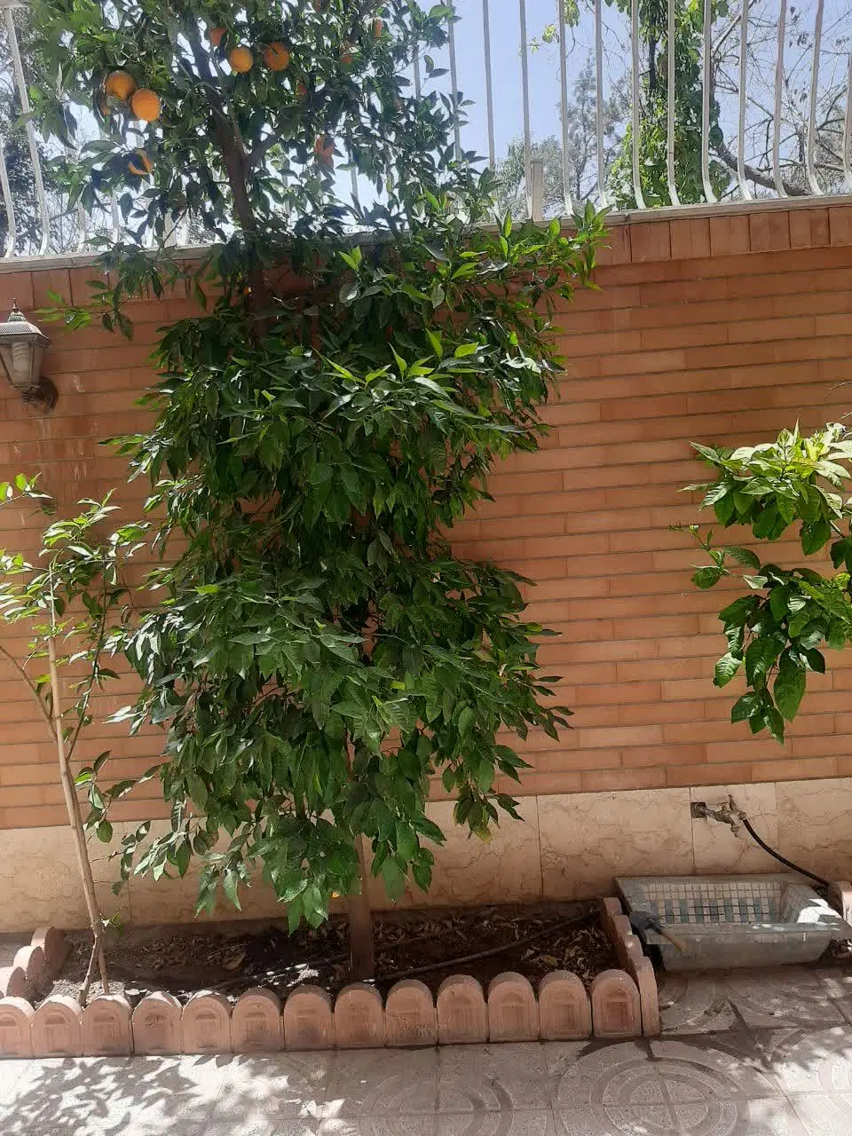 ۷۰متر 1خواب حیاط دار  کوی گلستان