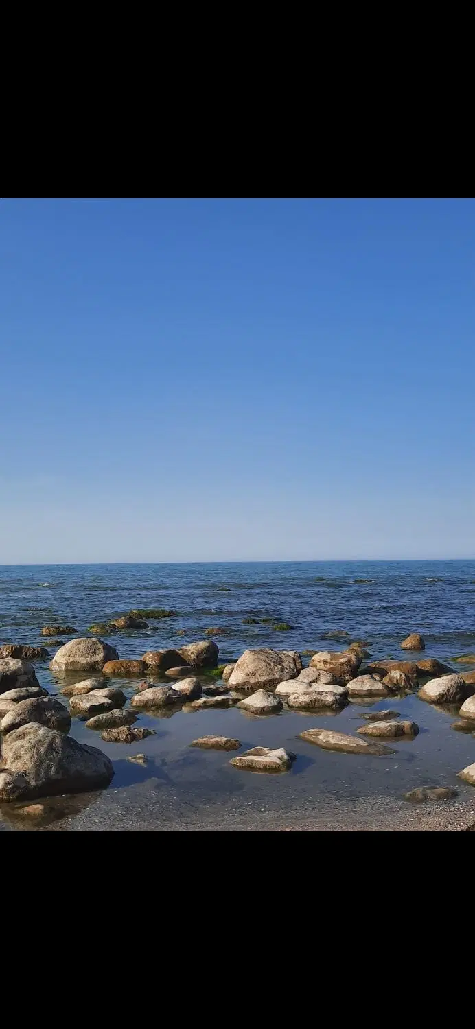 فروش زمین در شمال