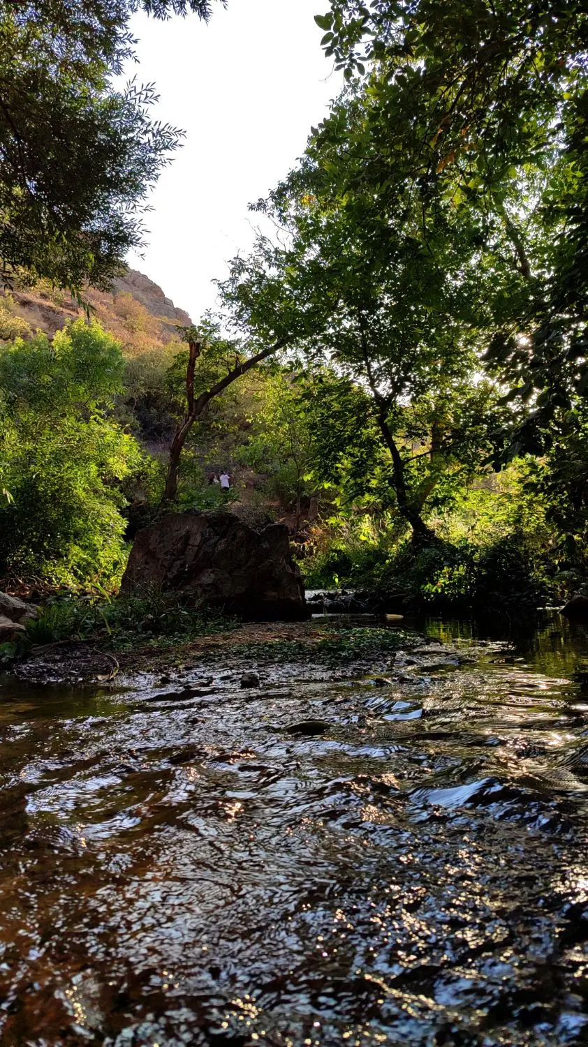 زمین باغی در چنغرالوی یکان