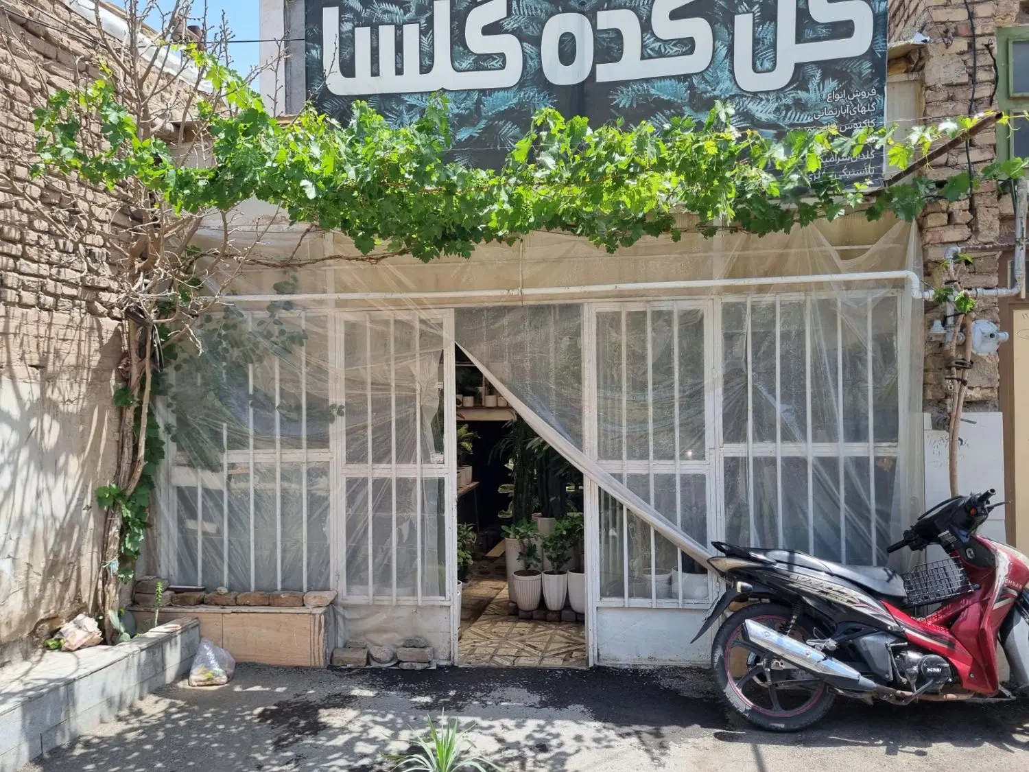 شصت متر خیابان بهبودی اول کوچه