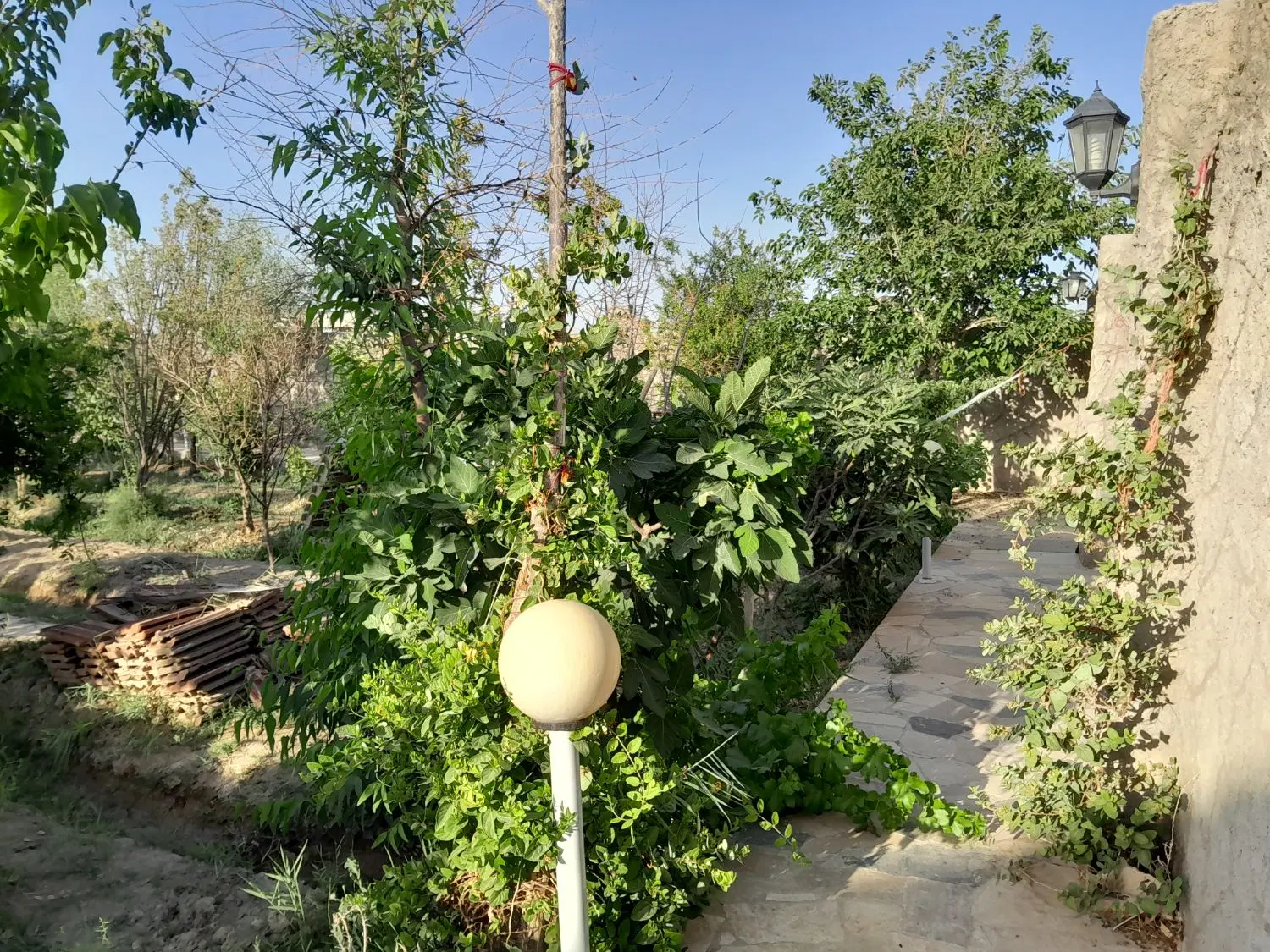 باغ ویلا ۷۰۰متری
