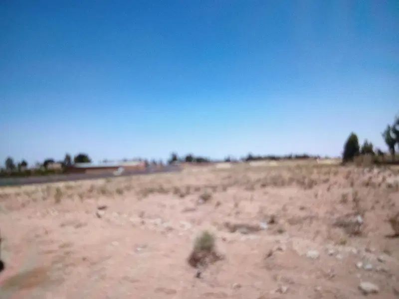 زمین دشتی