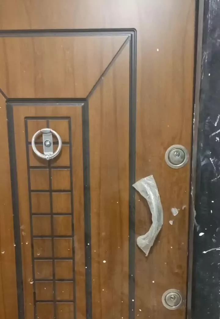 زیتون ۴۵