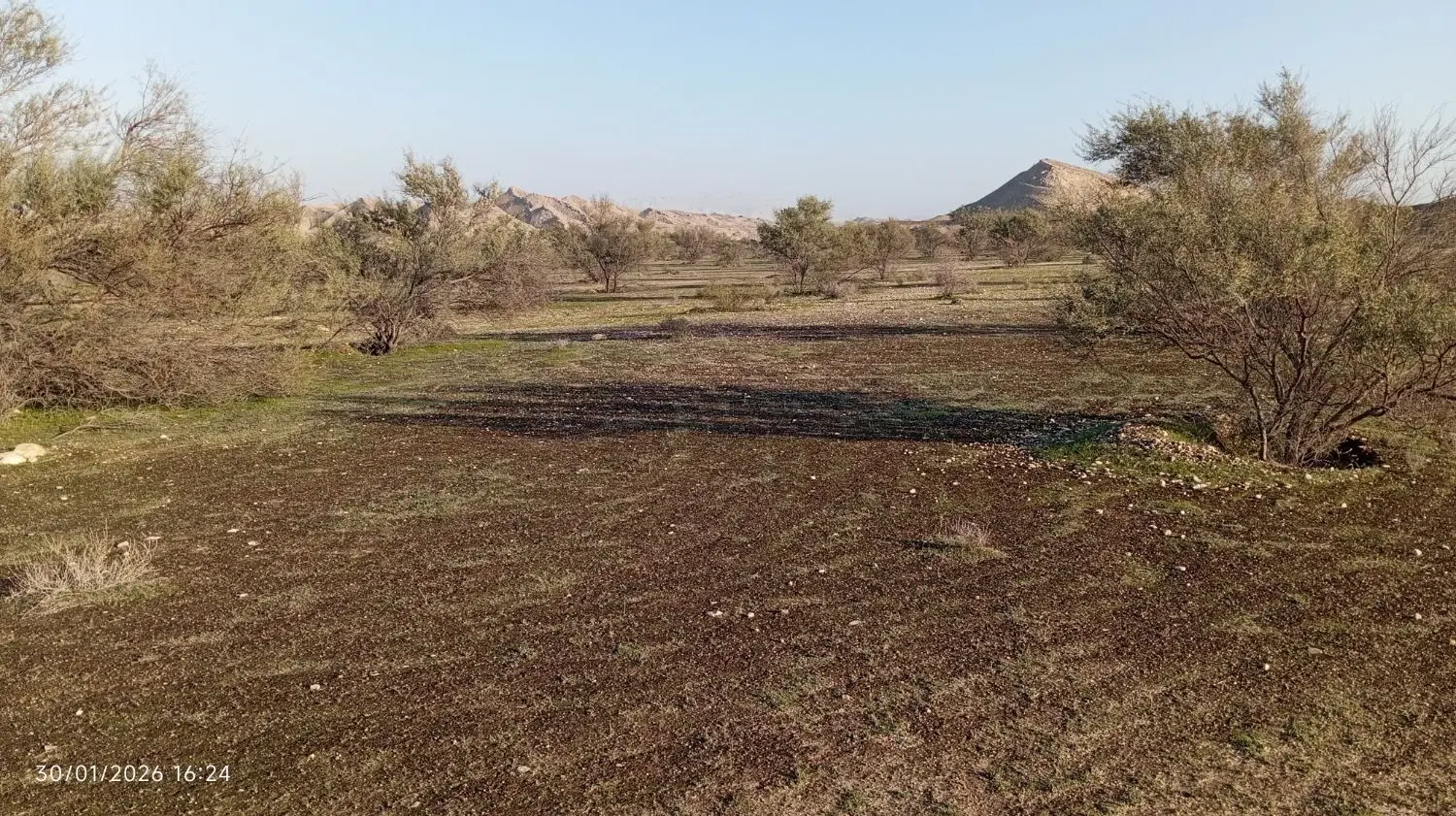 زمین گورک سادات،سه راهی عالیشهر