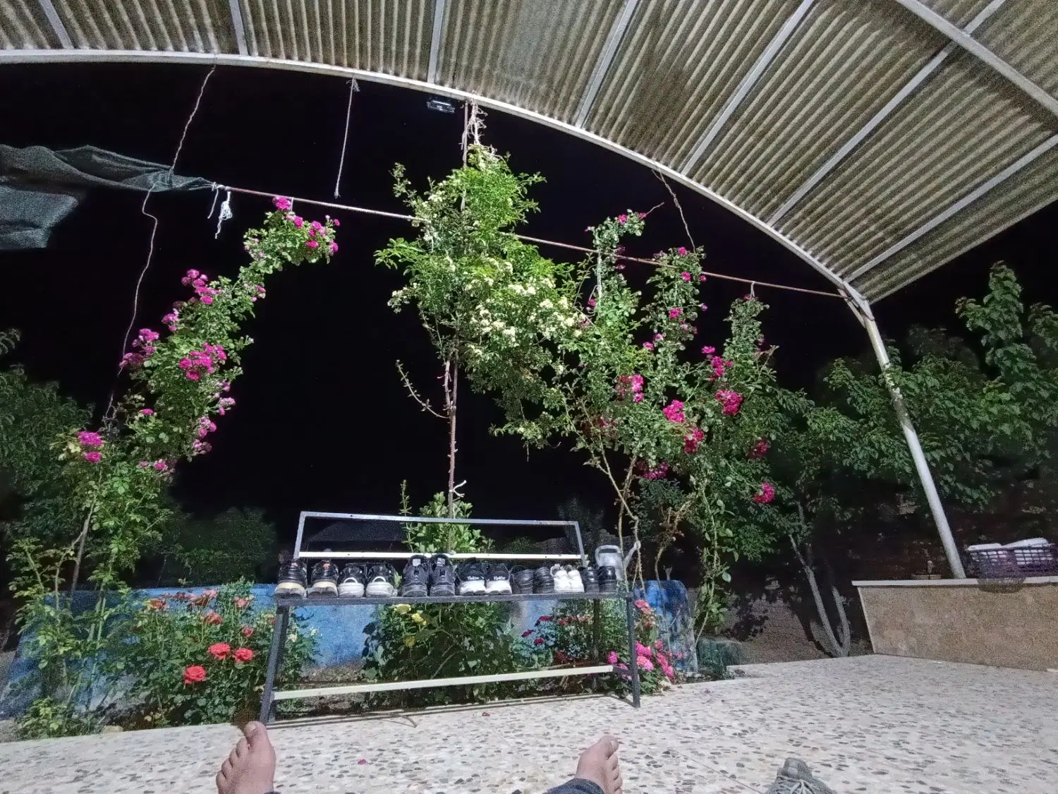 باغ گاوخانه