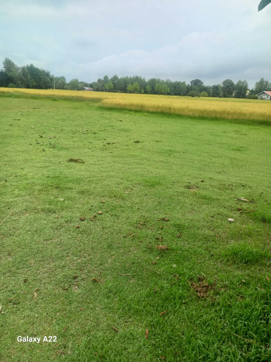 ۲۴۵ متر مسکونی و باغی