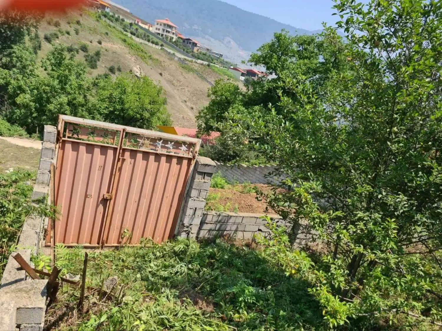 زمین مسکونی