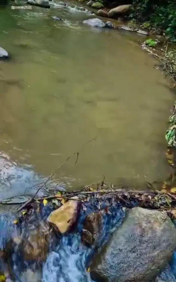 فروش باغچه