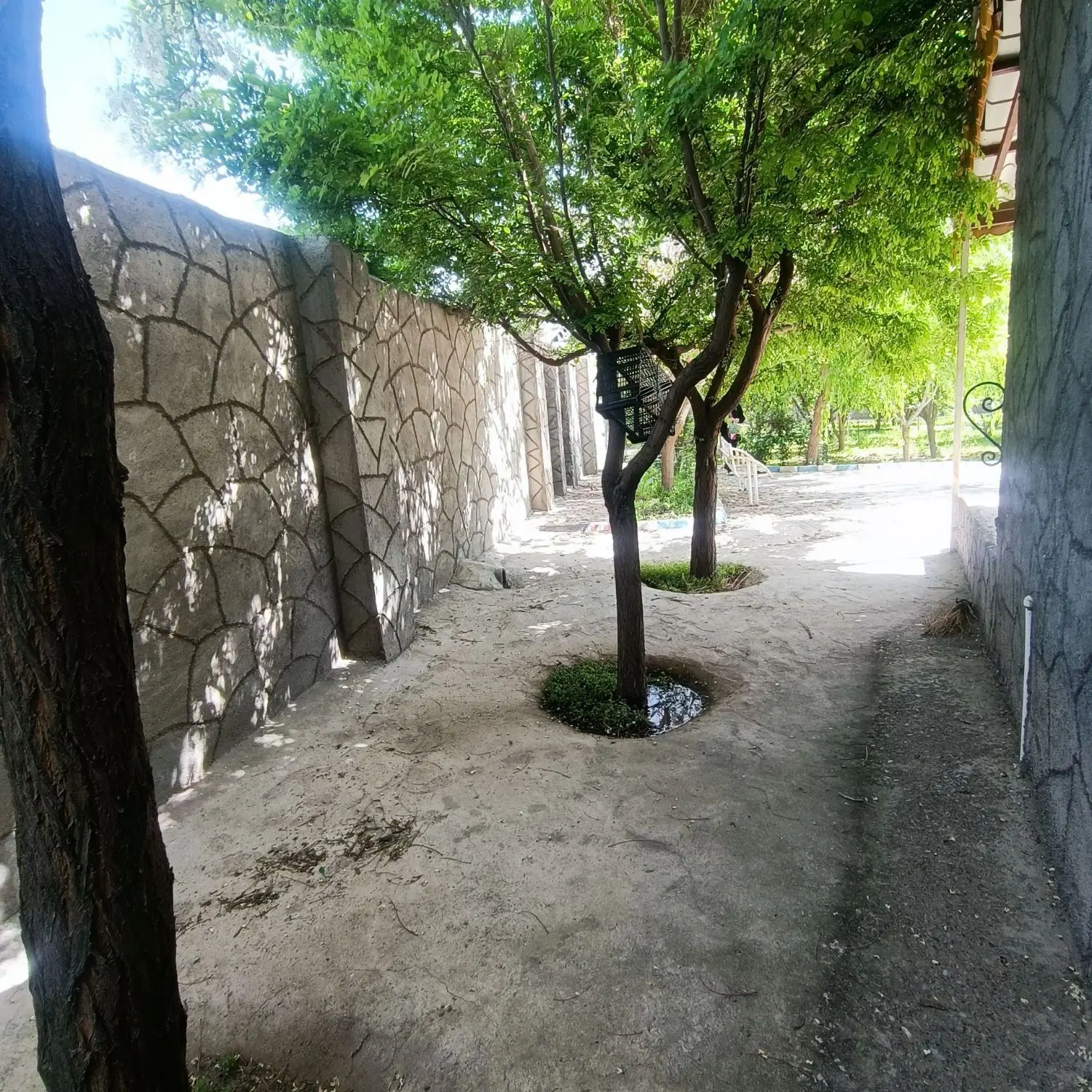 باغ ویلا