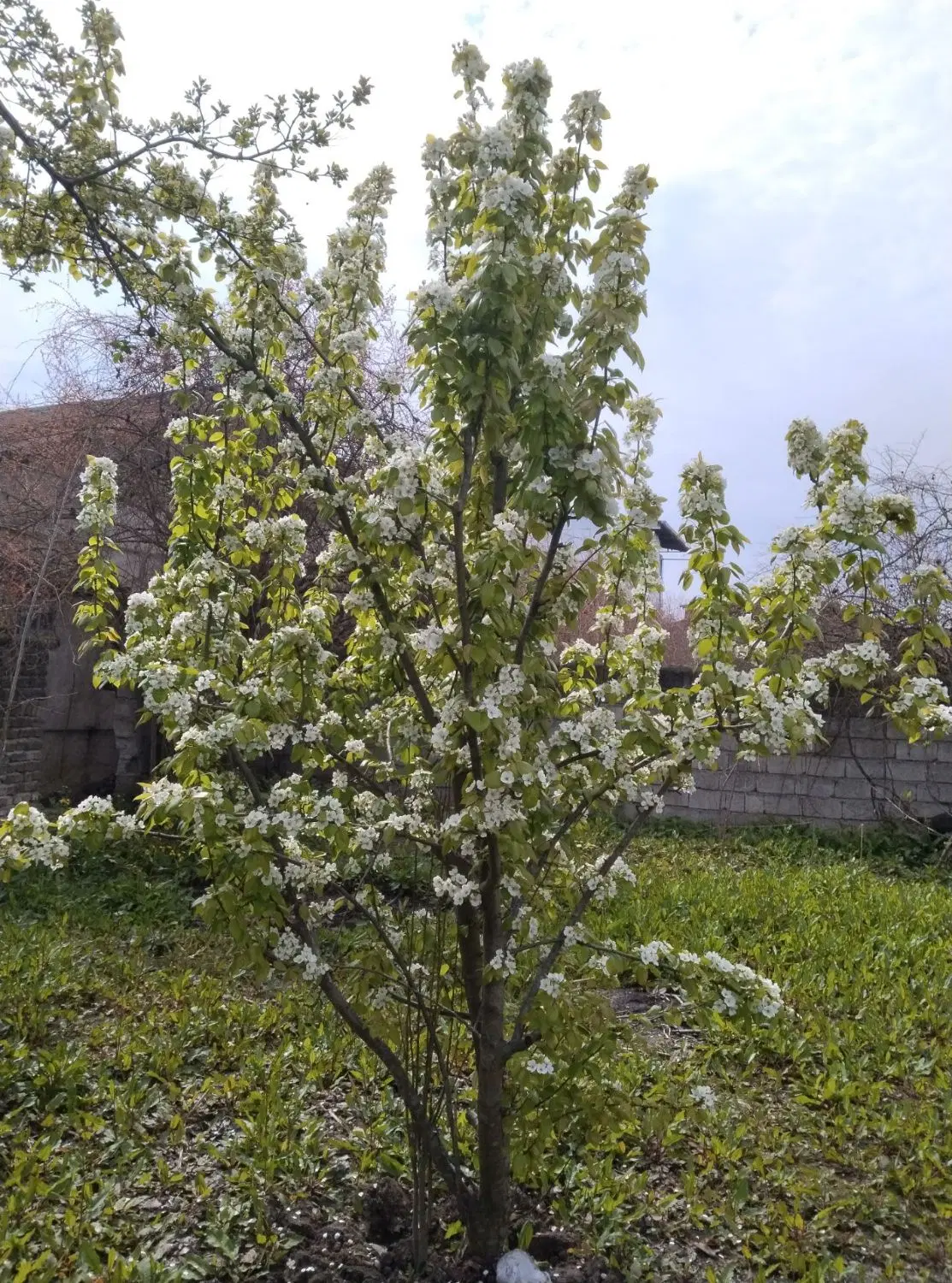 ۲۰۰متر زمین مسکونی