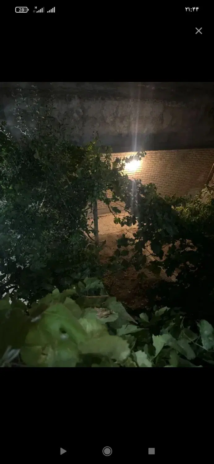 مستاجر خانم مسن