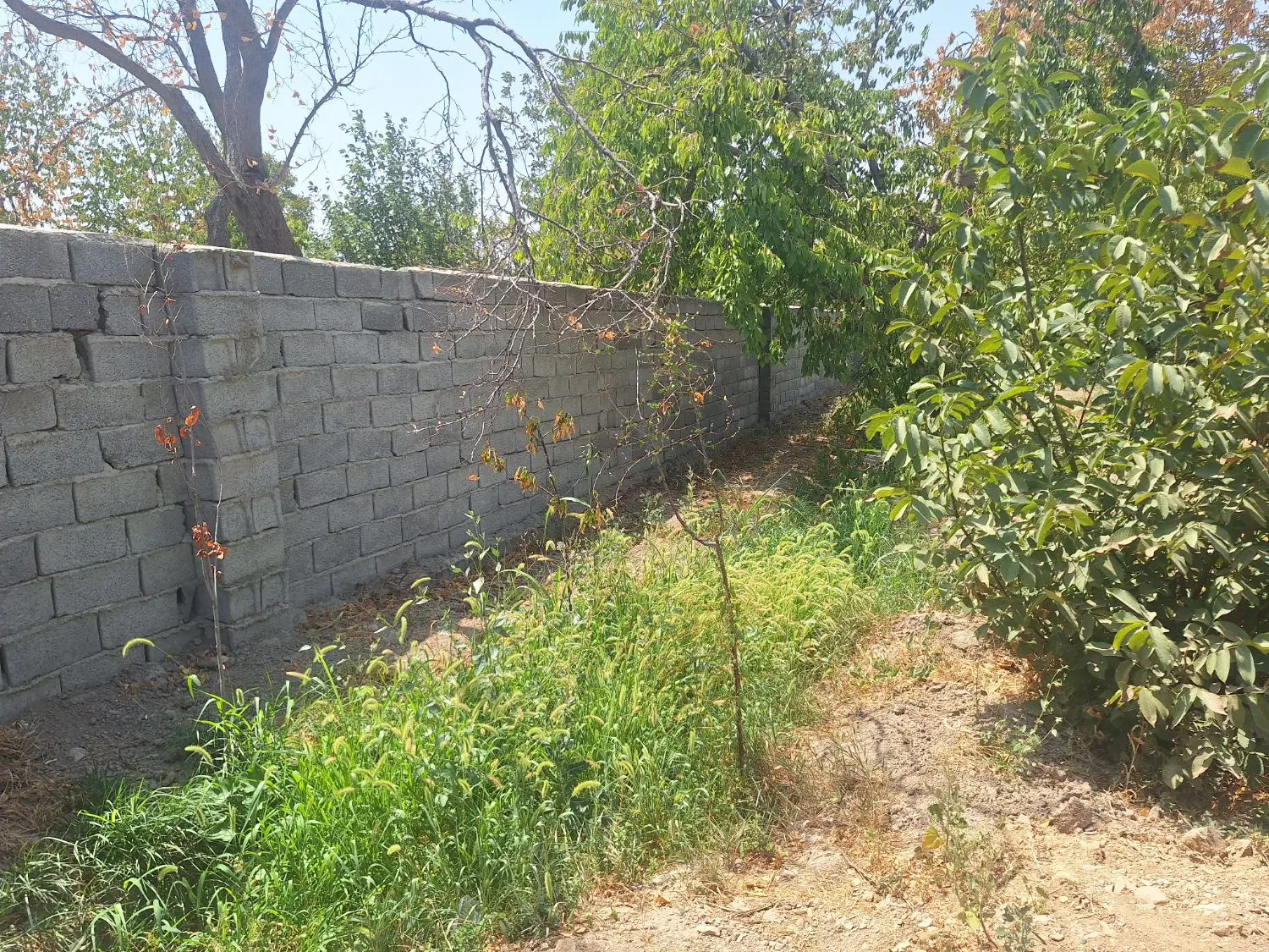 ۳۵۰متر باغ چهاردیواری ۲،۵۰۰ میلیارد