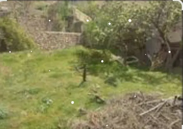 زمین میگون