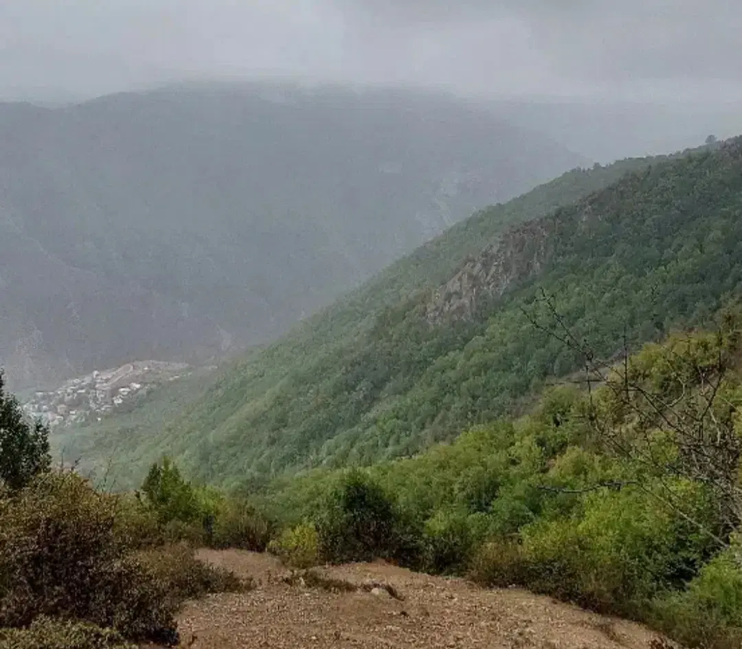 فروش باغ
