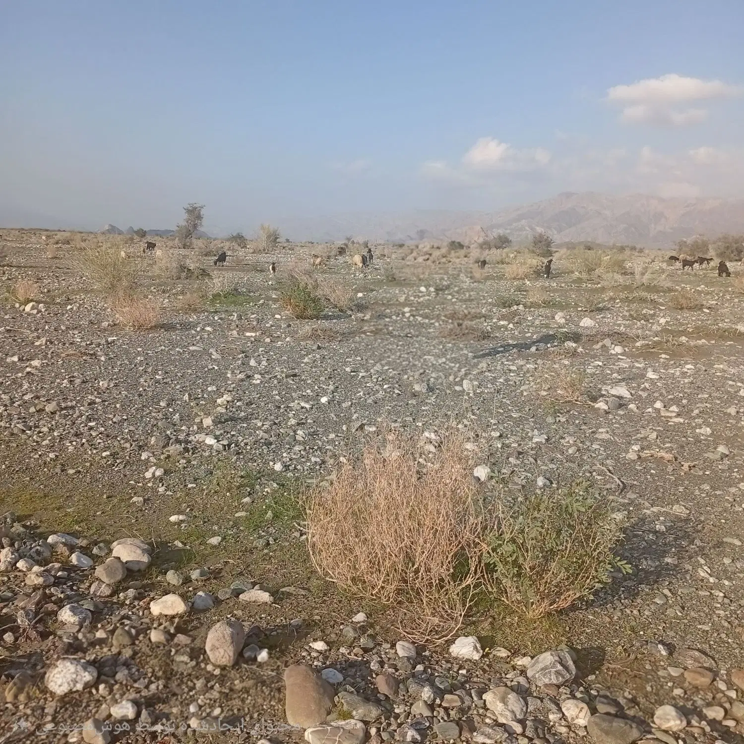 دعوت به سرمایه گذاری در نیروگاه خورشیدی