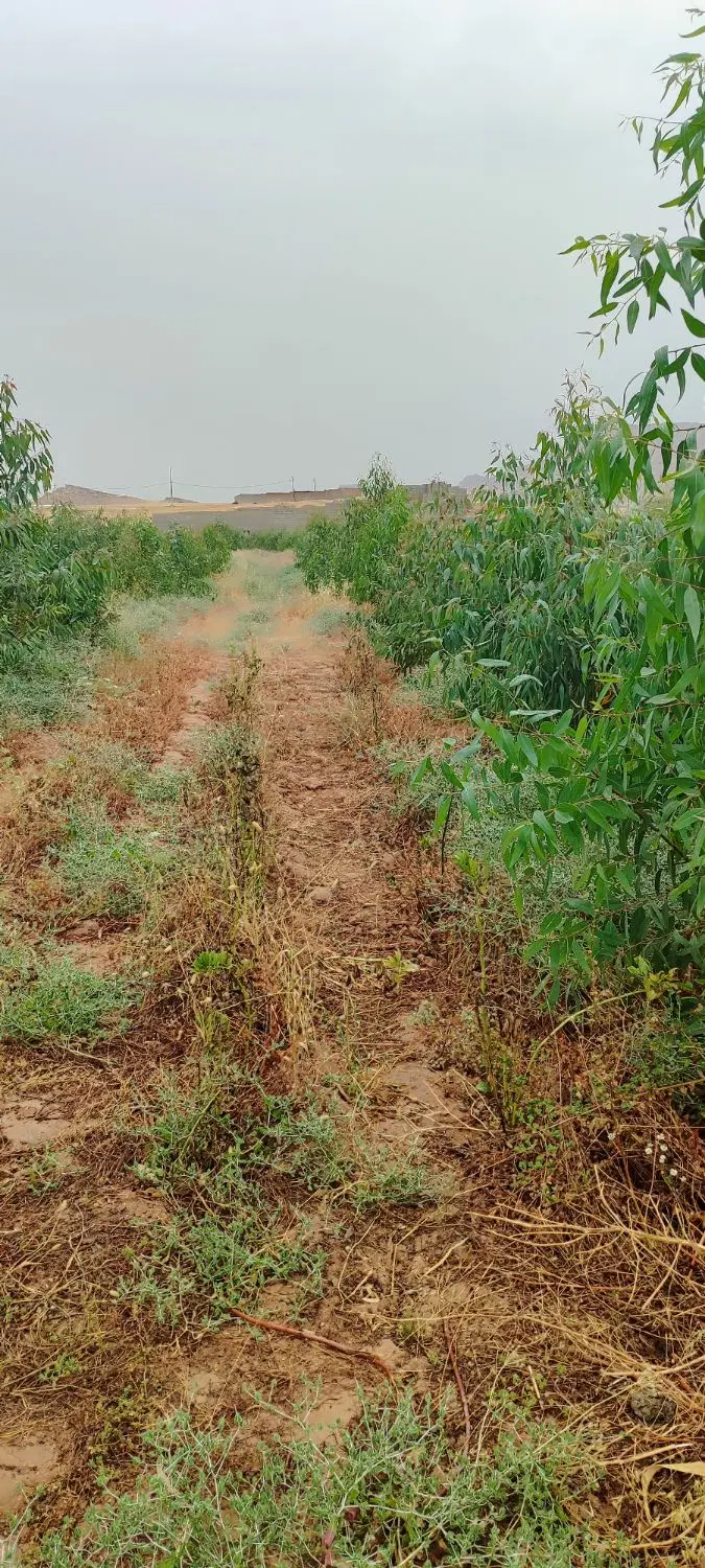 فروش زمین ویلایی