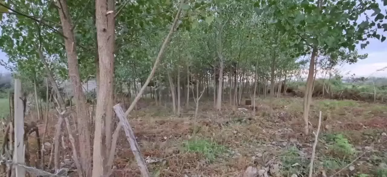 زمین مسکونی