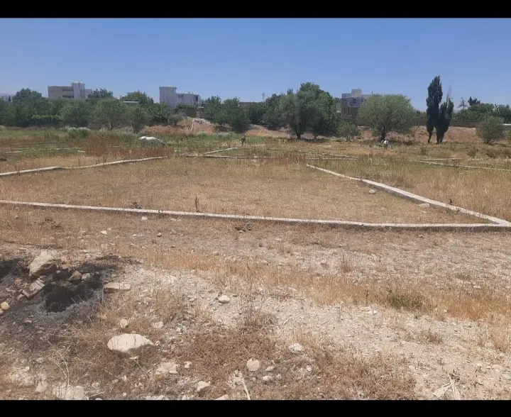 ۲۵۳ زمین در نجف آباد زیر سیلو واگذاری شهرداری