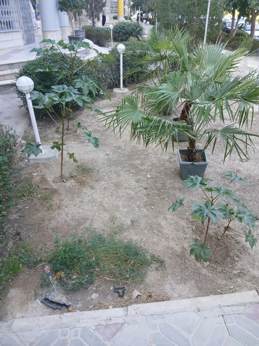 زمین مسکونی