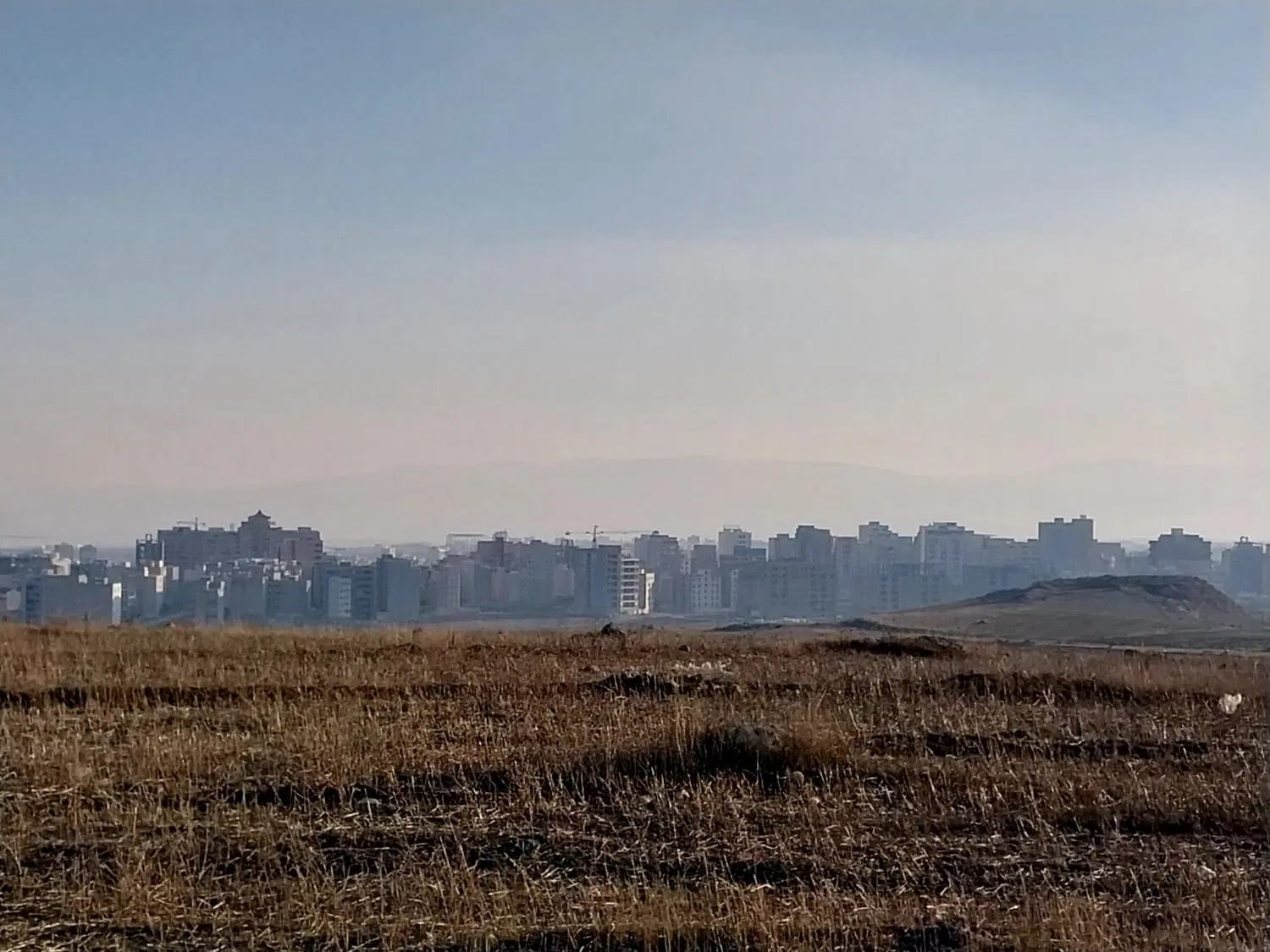 زمین زراعی در سرعین