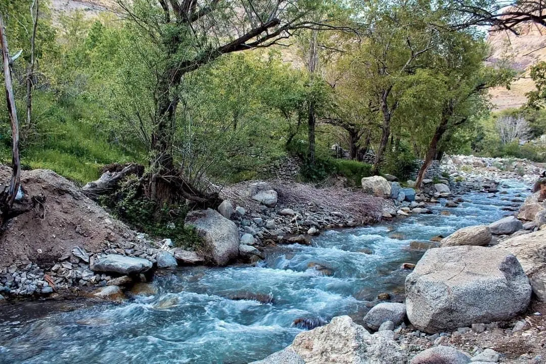 باغ فخر اباد عباس اباد