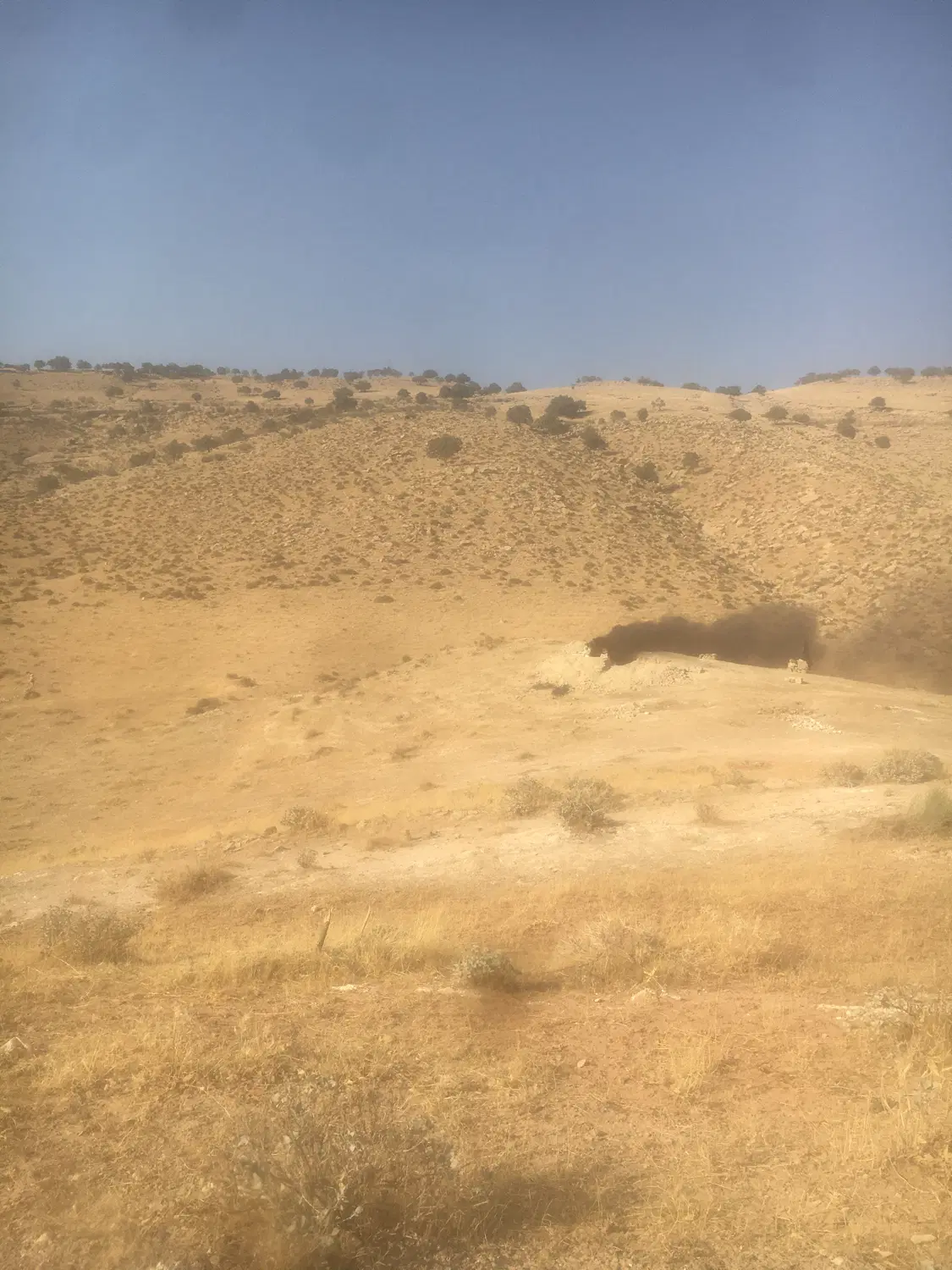 زمین دیم در زنگوان