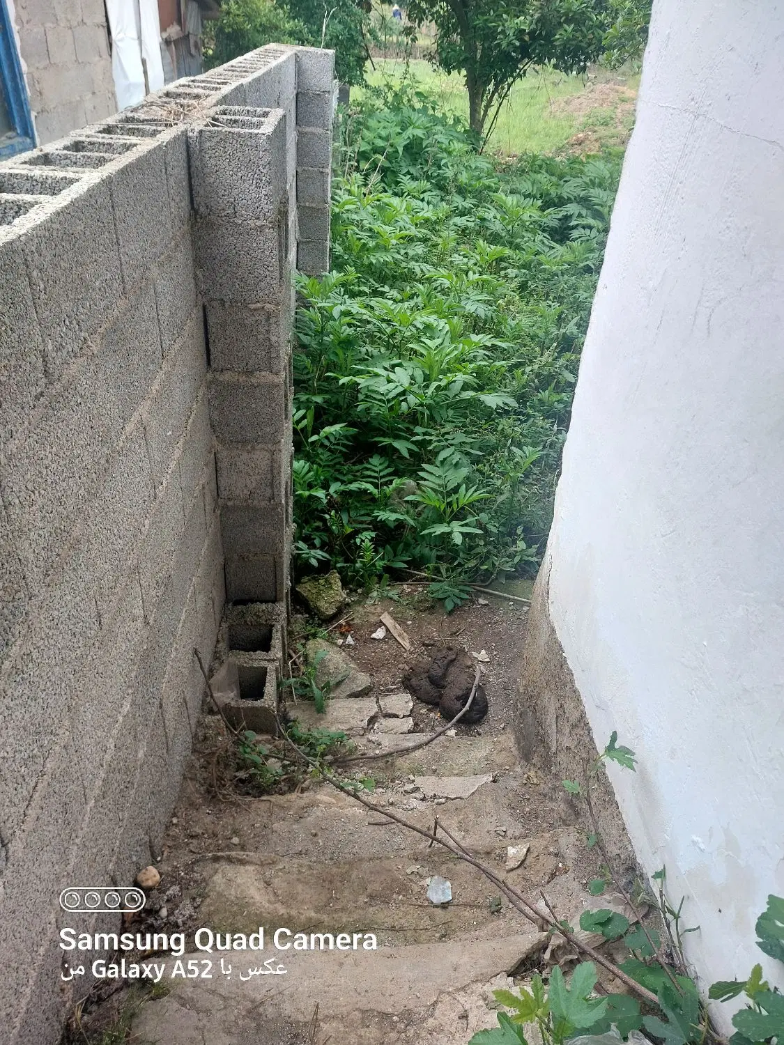 ویلا شمال