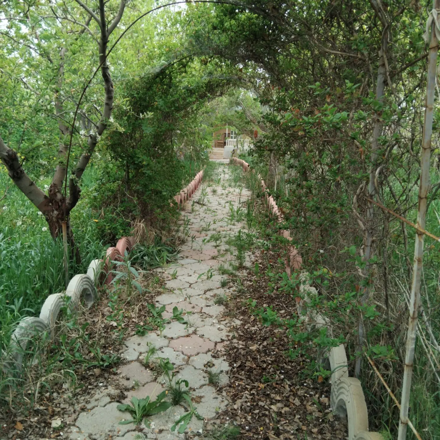 باغ   باغچه   خانه باغ مجوزدار