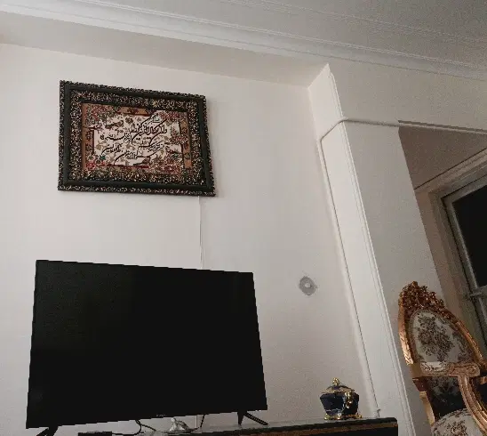 همخانه میشوم